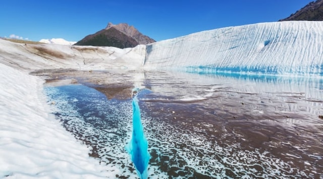1,638 グレイシャーベイ Stock Photos, High-Res