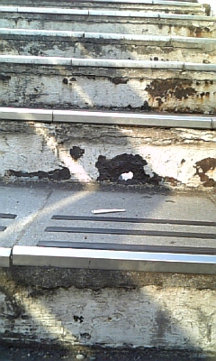 原宿「同潤会青山アパート」1984⇔2023,東京大空襲時、街路樹が全焼した表参道で、ケヤキだけが焼け残り、防火壁としての同潤会アパートが実証されたそうです。,建物や設備の老朽化が進み、保存が強く求められたものの解体され、2006 平成18 年「表参道ヒルズ」が竣工しました。,Harajuku”Dojunkai Aoyama