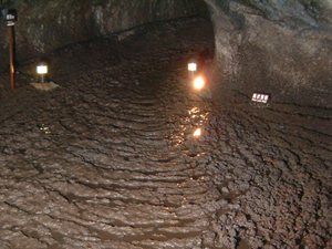 西湖蝙蝠穴 アクセス・営業時間・料金情報 - じゃらんnet