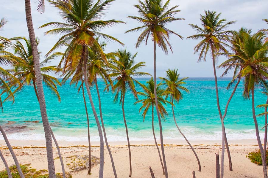 カリブ海の真珠「キューバ」S.O