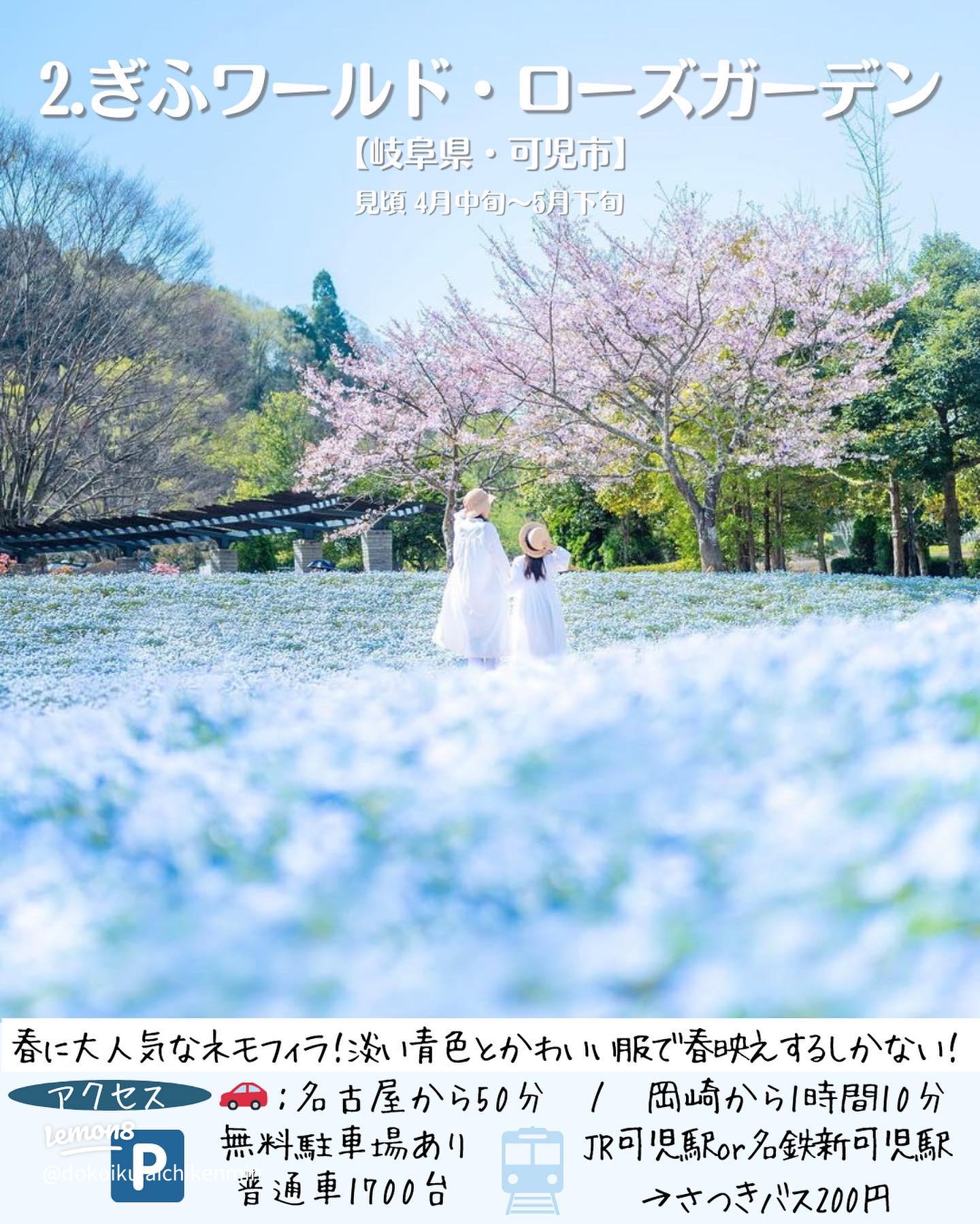 2024.2.17@日本武道館 NEMOPHILA 5th Anniversary