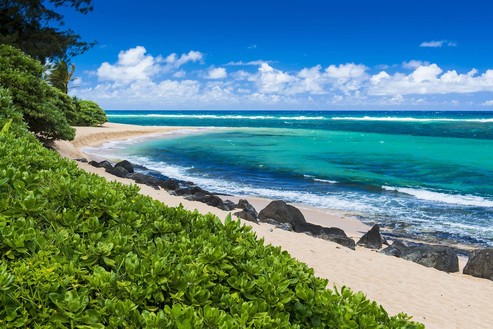 沖縄県内送料無料 無洗米「うまい米10kg お徳用