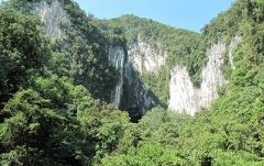 世界遺産グヌン・ムル国立公園ボルネオ旅行専門の旅行会社 ユーツア