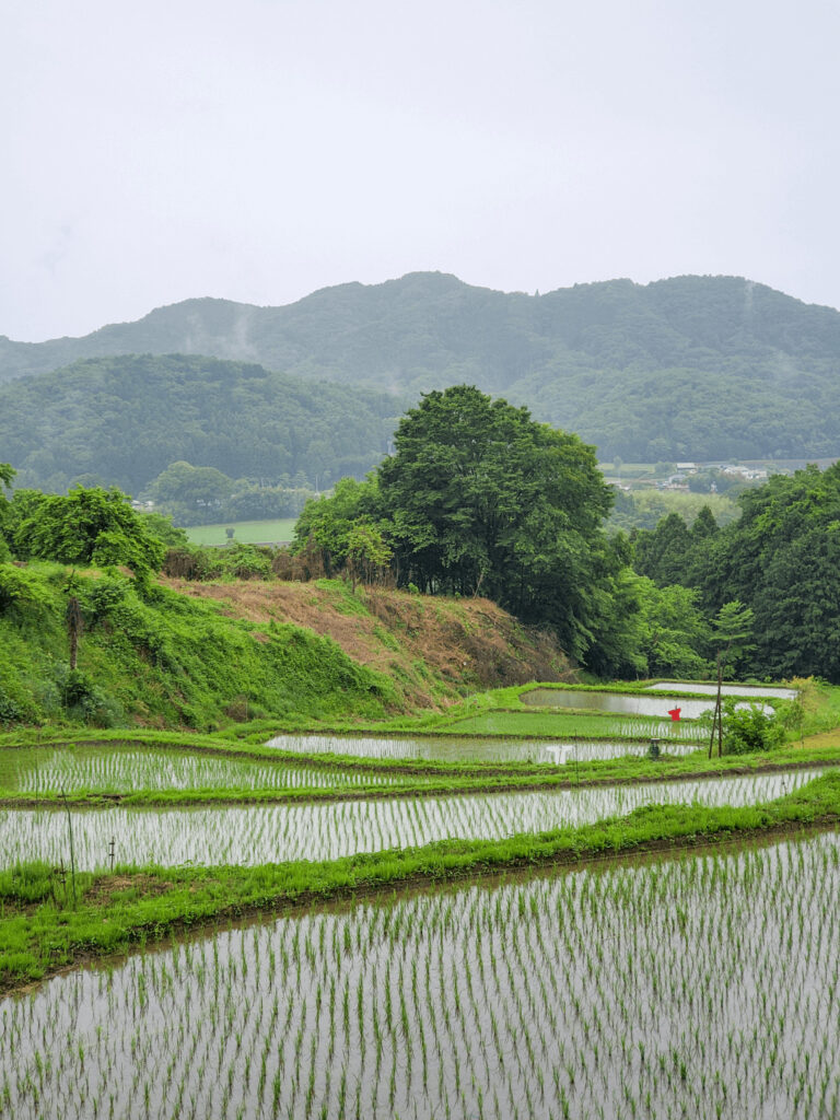 保存版 栃木県の夜景ドライブデートならここ！関東在住の筆者おすすめの15スポット 名所・穴場・公園・工場夜景など アニーお祝い体験マガジン