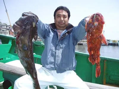 マリネス釣り情報関東の海釣りにおすすめの釣船・釣果情報