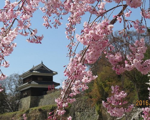 上田市の公園と観光スポットガイド2025 年のリアルなLemon8ユーザー体験