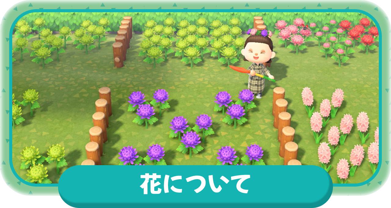 あつ森 2025年版 花の増やし方と摘み方増えすぎた花はどうする？