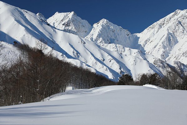 2023年版 「HAKUBA VALLEY 白馬八方尾根スキー場」人気のヒミツ徹底解剖！WAmazing Snow