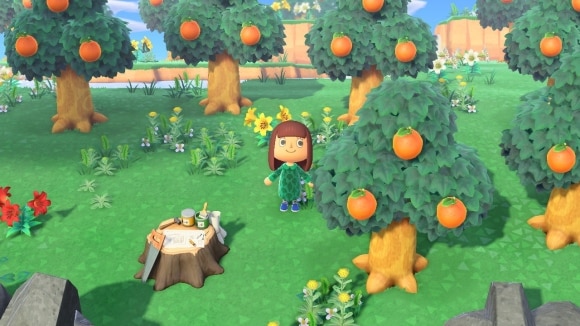 あつ森 大きな憩いの果樹園を作ってみた フルーツの公園こころぐゲーム