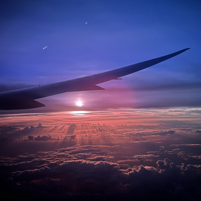 飛行機からの眺め✈️ぱにーに通信