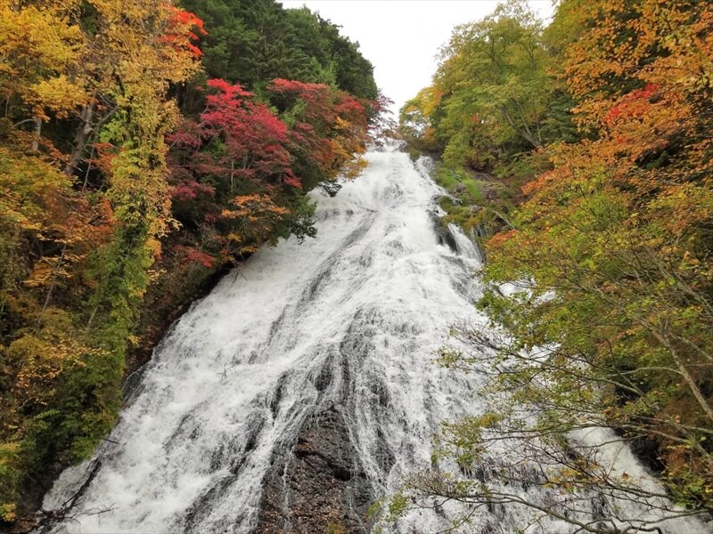 ヴィレッジから15分！ 格安 日光江戸村チケット付プラン販売スタート公式 グランピングリゾート ブリリアントヴィレッジ日光栃木県