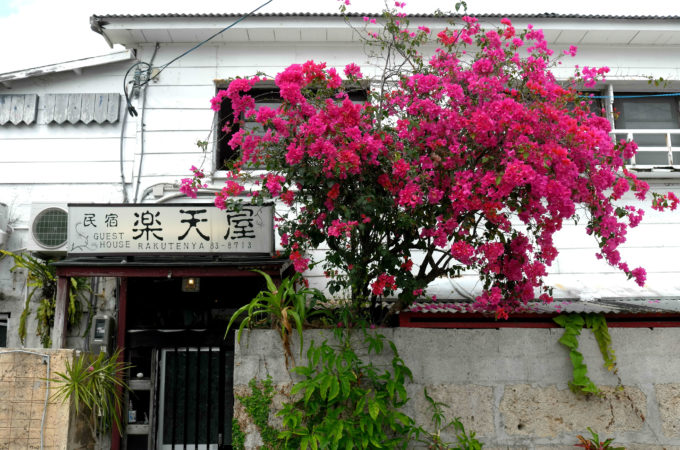 石垣やいま村 石垣島 沖縄県の写真素材FYI07781688ストックフォトの Qlean Market