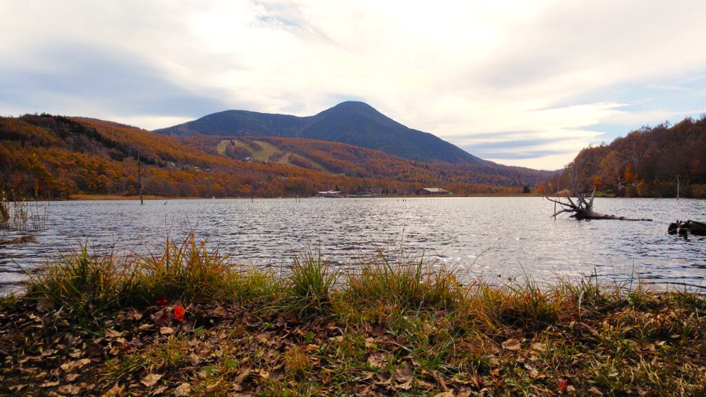 歩いて行ける展望スポット−−蓼科牧場Bluebell Cottage