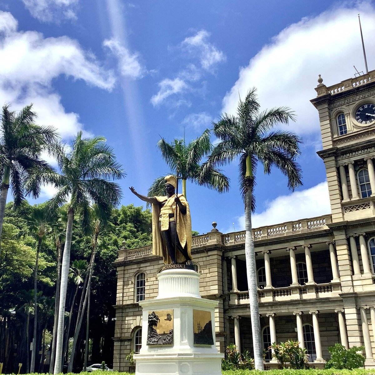 非線形 ハワイアン スナップバック 帽子 ボールキャップ