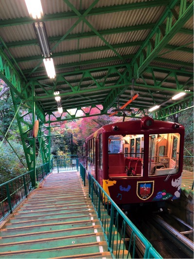 神戸が誇る夜景を眺めに摩耶山の「掬星台」へANA