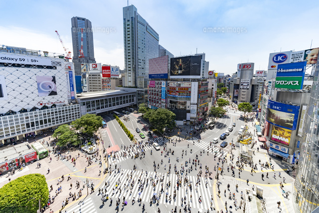 渋谷スクランブル交差点 は英語で何と？見どころと一緒に学びます。 -