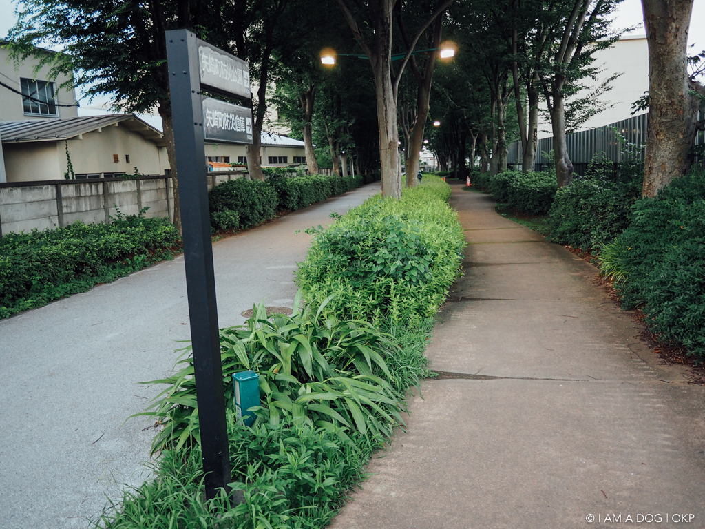 下河原緑道東京都府中市
