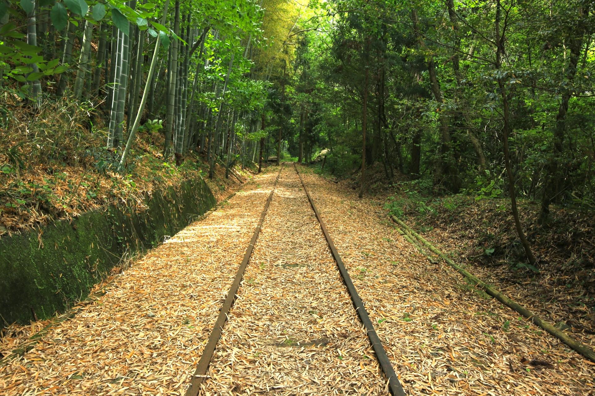 廃線と廃線跡の記憶。かつて確かにあった鉄道の黄金時代を懐古する - まっぷるウェブ