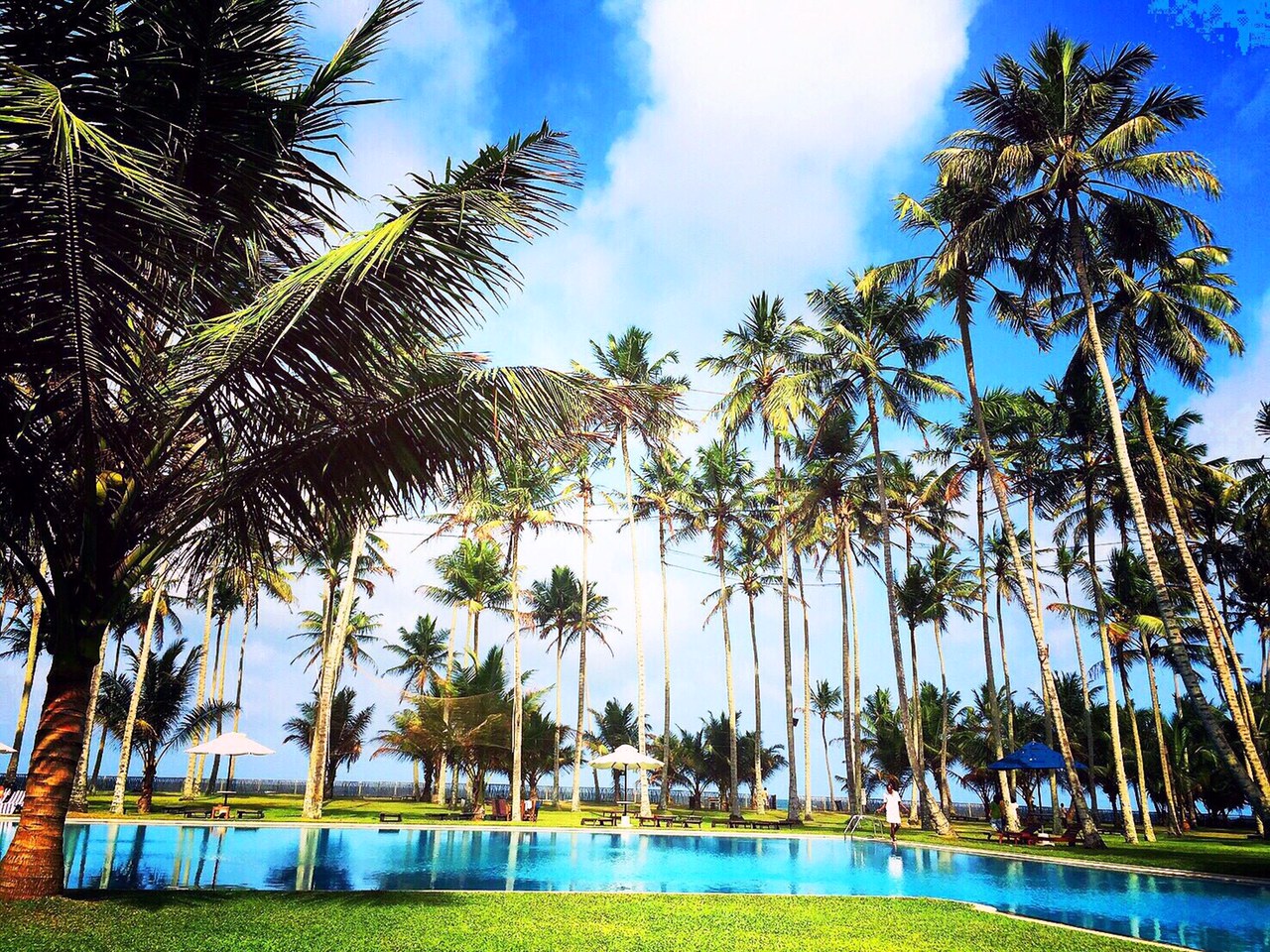 ベントタビーチホテル＠スリランカ』ベントータ スリランカ の旅行記・ブログ