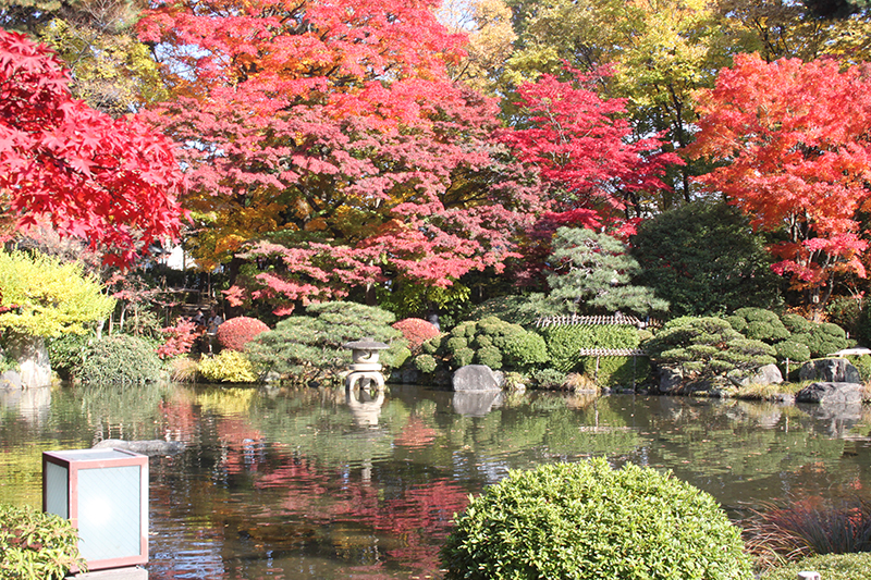 ☆もみじ公園☆ 山形市にあるもみじ公園では、紅葉が見頃を迎えています! もみじ公園は、山形市内有数の紅葉の名所で、池泉回遊式の庭園が絶景の紅葉スポット✨✨園内には、中央公民館分館「清風荘」・茶室「宝紅庵」が併設されており、厳かな和の雰囲気を醸し出してい