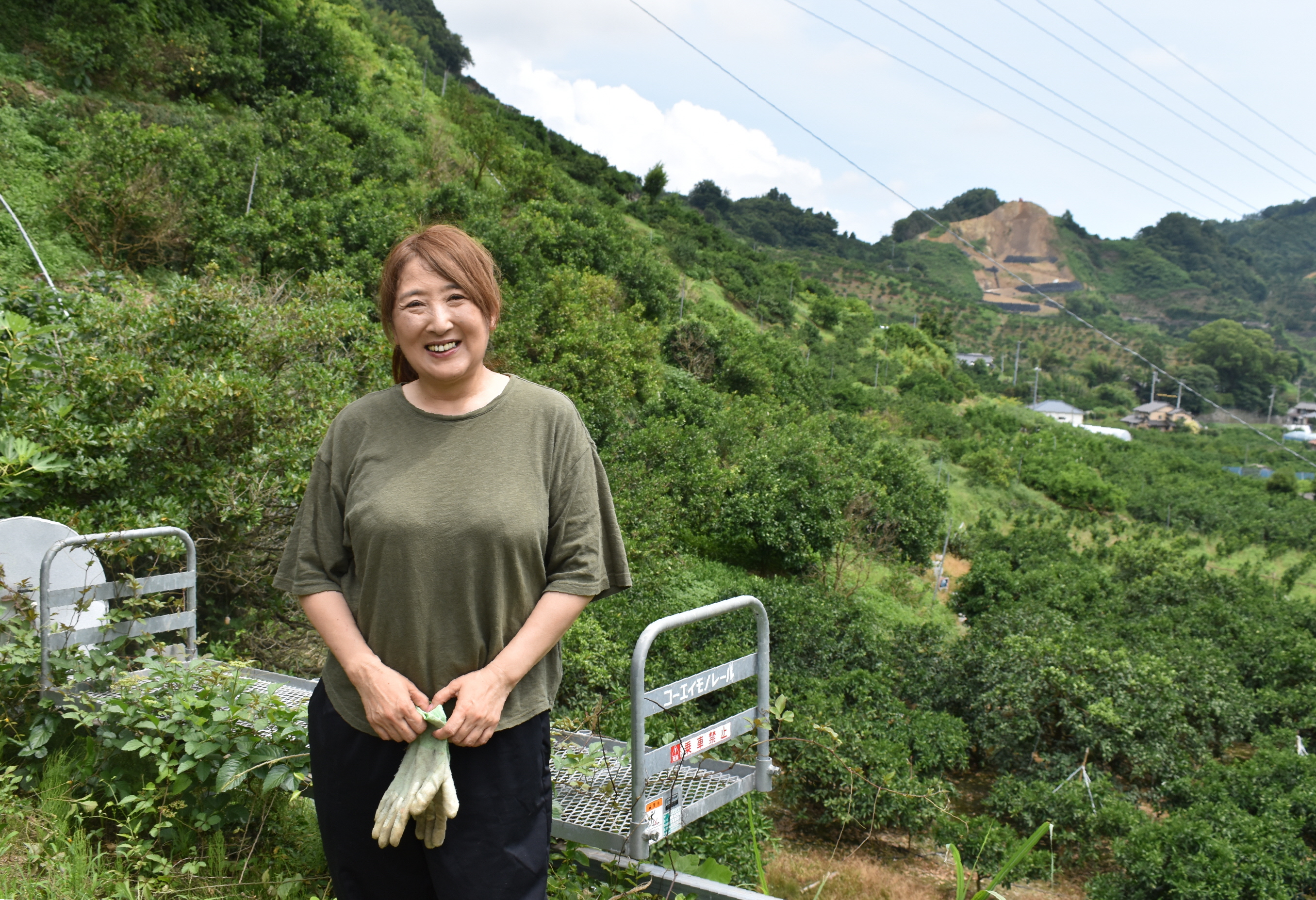 みかん畑のドン・キホーテTNCテレビ西日本
