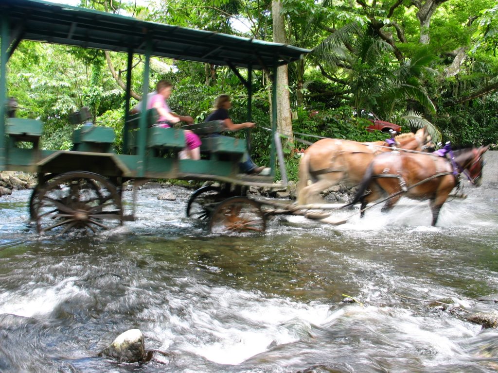 神聖の地！古代王家が宿るワイピオ渓谷の観光は乗馬ツアーがおすすめ – skyticket 観光ガイド