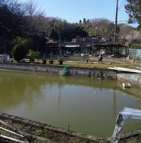 相模原市に人気屋内釣堀OPEN 熱帯魚・ヤドカリ釣り＆お宝探しもいこーよニュース