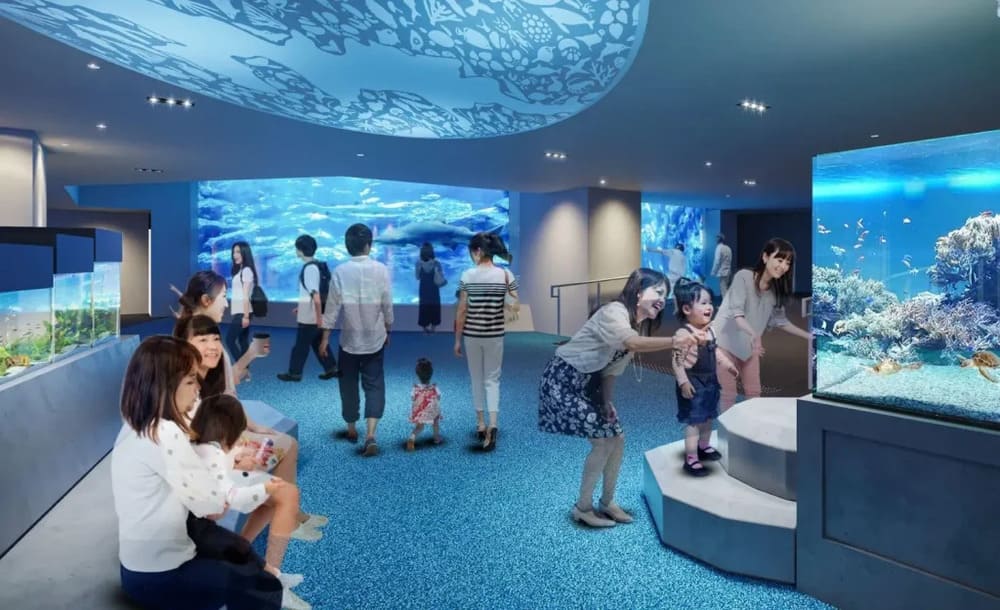 2025年10月 すみだ水族館のおすすめ割引チケット＆クーポンまとめおとな開運女子部