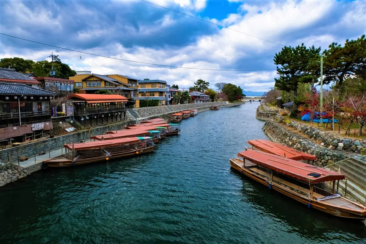京都の鵜飼での2023年度の『宇治川の鵜飼』と『嵐山の鵜飼』です。嵐山船頭