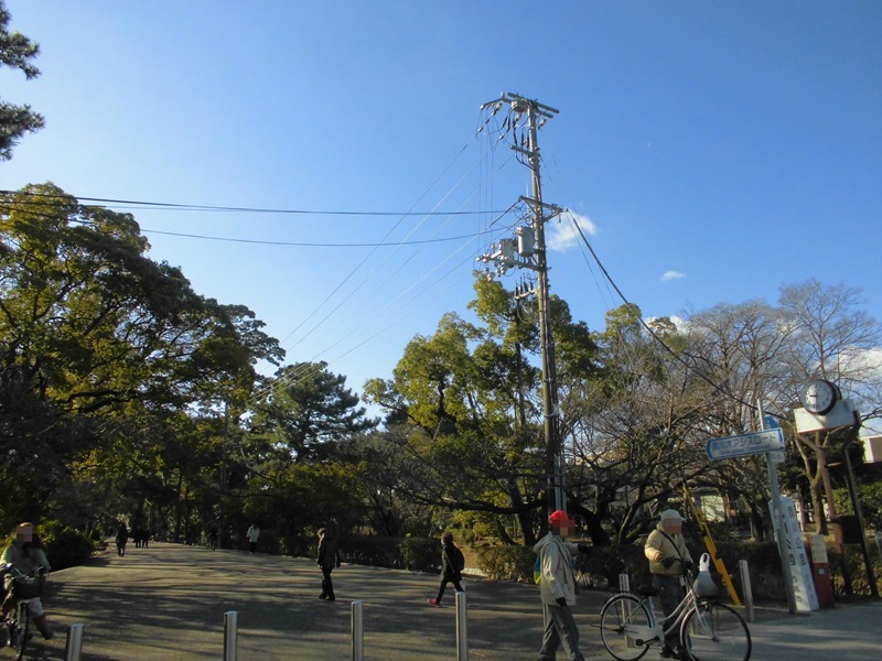 西宮市立香櫨園小学校」 西宮市-小学校-〒662-0952 の地図