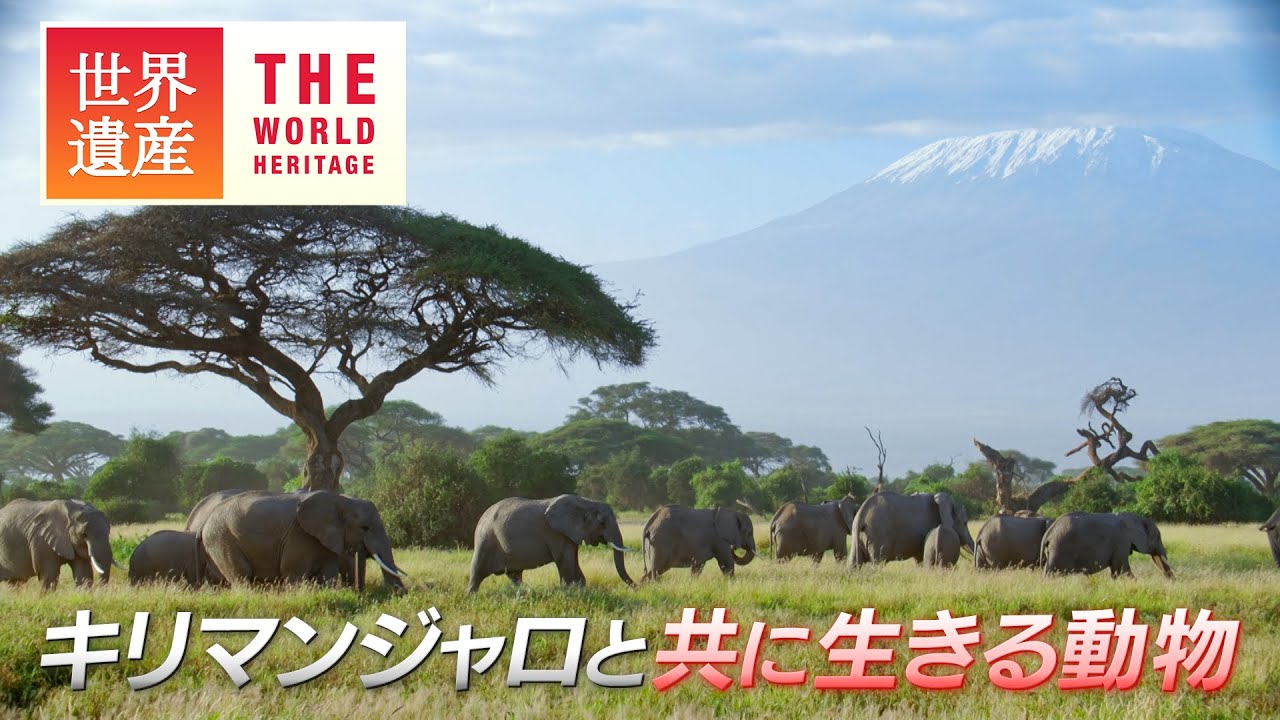 ケニア山＆キリマンジャロ