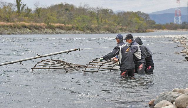 福井の食文化を次世代に。アラレガコの出汁醤油を開発！ 株式会社コリンズカンパニー 小林博之 2018 09
