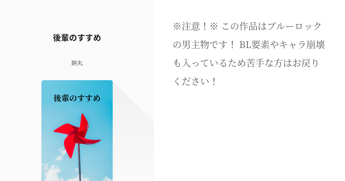 Amazon2024年版 moyu WRM