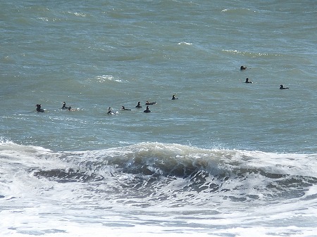 風が強い日は、波あります。白糠って知らぬかった