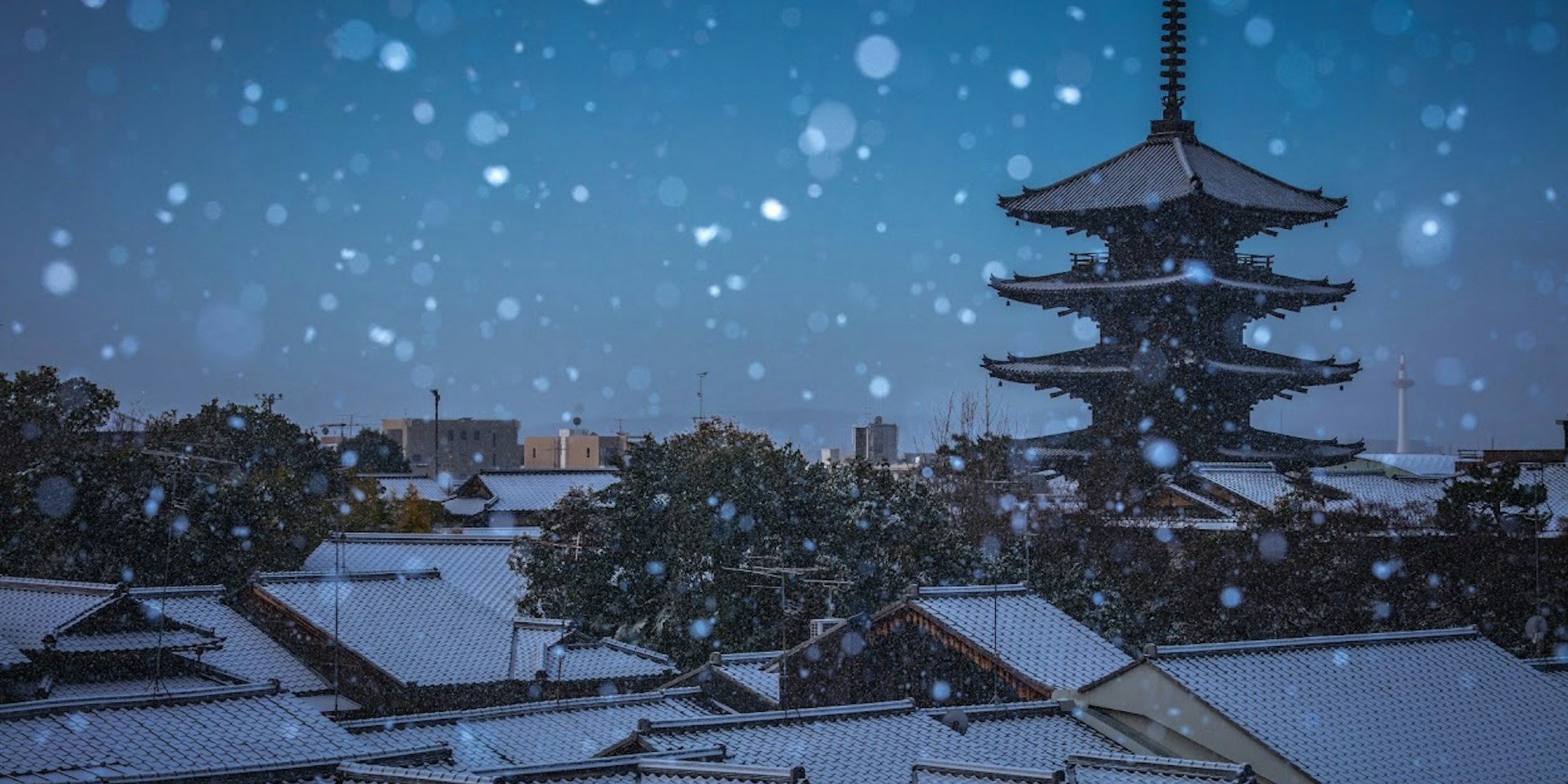 京都の紅葉 カップル必見！おすすめのデートスポットを紹介VELTRA旅行ガイド