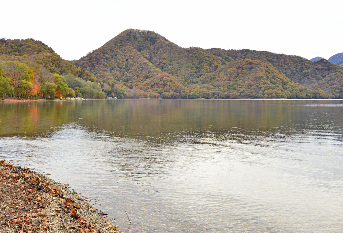 2025年 千手ヶ浜 - 出発前に知っておくべきことすべて -