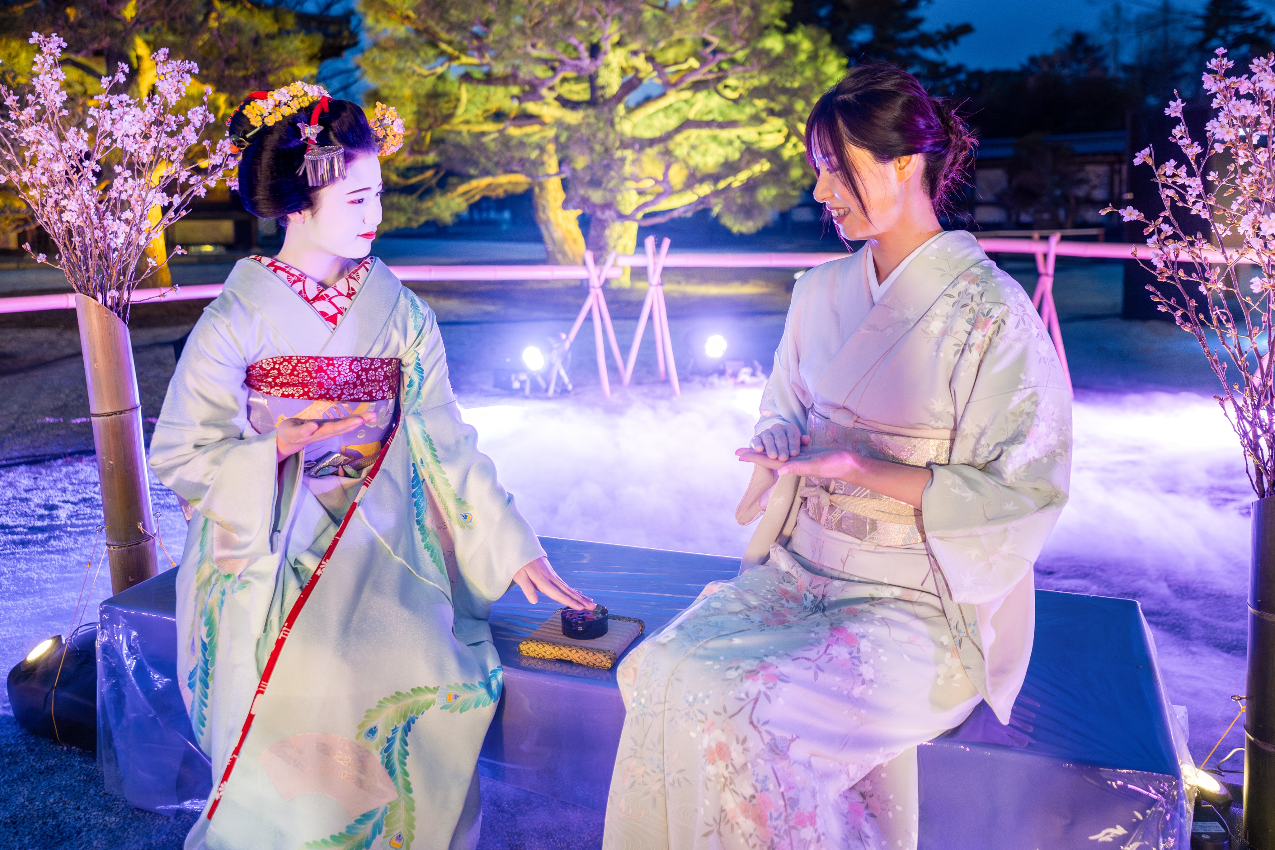 世界遺産 二条城 NIJO-JO CASTLE二条城のサクラが開花🌸