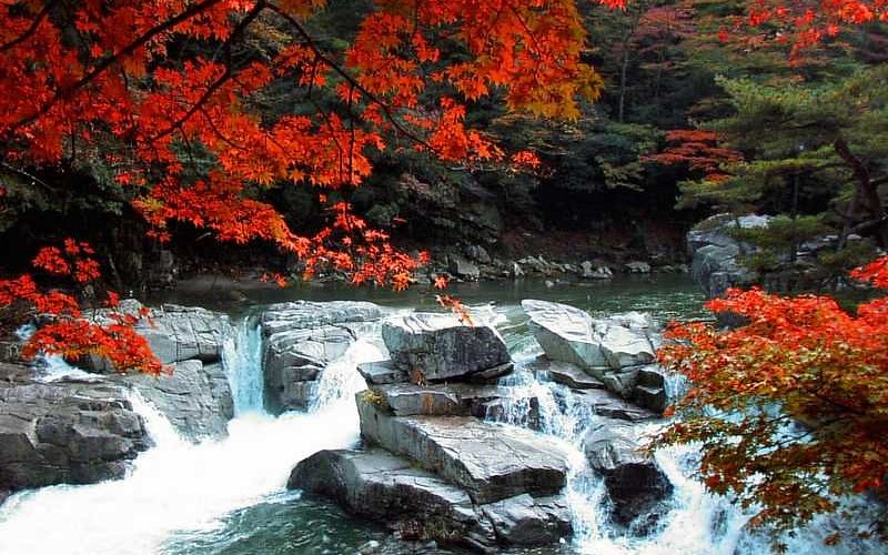茨城県石岡市、丸山古墳と奥津城跡です！！ - ビーズうさぎのハナちゃんです