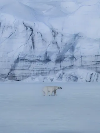 ピラミーデン発の格安航空券 - 飛行機・LCCのチケットならエクスペディア
