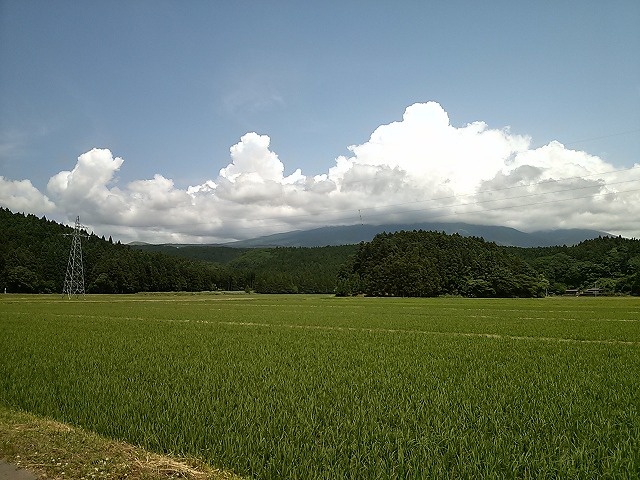 丸池様 アソビュー！