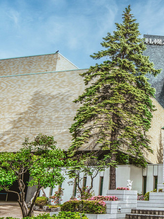 ゼクシィ 札幌パークホテルの結婚式 口コミ・評判をみよう