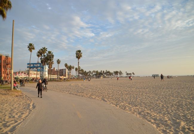 アメリカの「マッスルビーチ」とは？あの“レジェンド”も筋トレしていた筋肉の聖地だった海外の旅BE-PAL キャンプ、アウトドア、自然派生活の情報源ビーパル