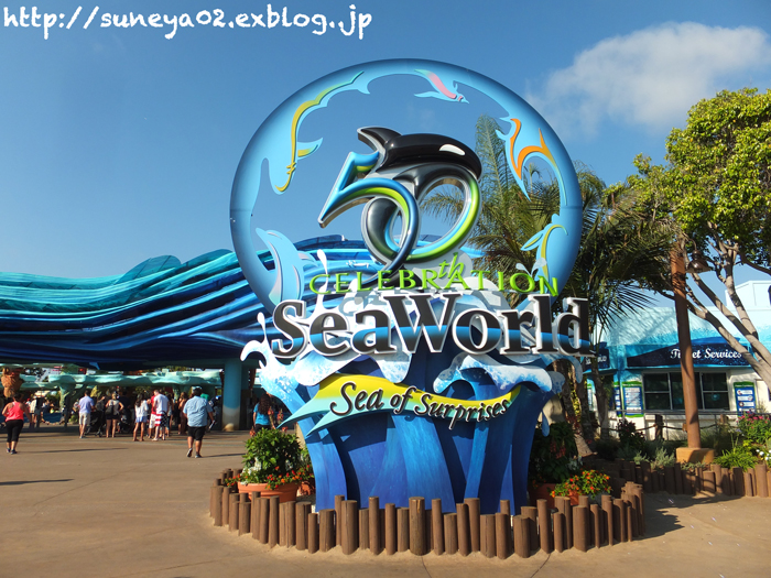 SR4nfoAR0Oi7RK8UsP0T