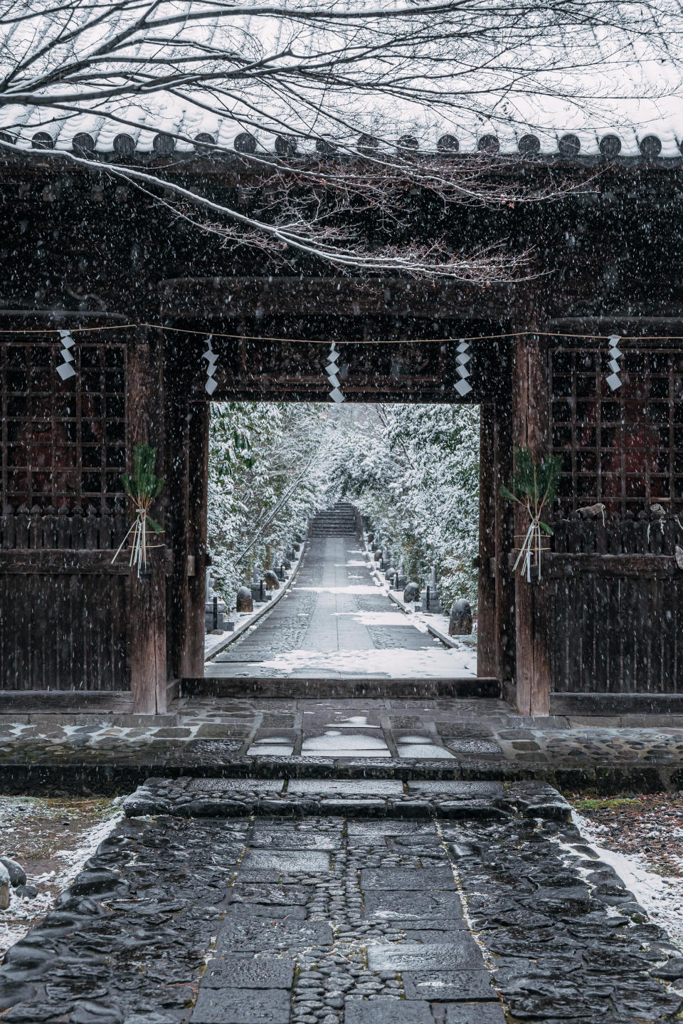 宮城県のオススメ撮影スポット９選 – 地元フォトグラファーが何度も通う、感動の風景 - NICOSTOP