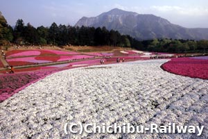秩父の旅の最後にほっこりお蕎麦を。御花畑駅「はなゆう」「ちちぶる」秩父の観光、グルメ、パワースポットなど情報発信サイト