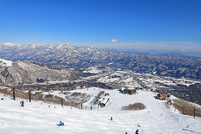 白馬八方尾根スキー場 現地レポート2021-2022スキーマガジン