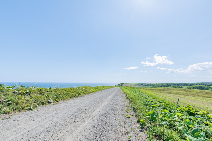 昆布刈石展望台 北海道ロケ地 検索