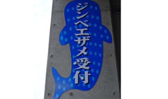 沖縄でジンベエザメシュノーケリング