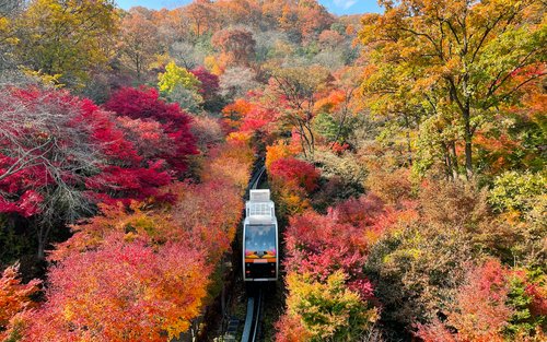 全羅道はなぜ“芸郷”と呼ばれるのか？韓国ドラマや映画に現れる韓国人の「道民性」 7 全羅道人の知的好奇心と芸術センス チョン・ウンスクの韓流談義fromソウル韓国TVドラマガイド ONLINE