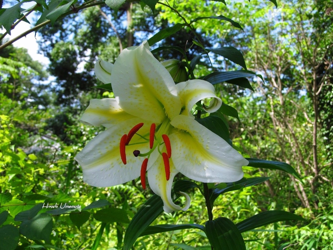 高畑充希写真集『ユメクイサバク』ダ・ヴィンチWeb